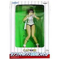 Prize Figure - Figure - Street Fighter / Kasugano Sakura