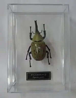 Figure - World Insect DATA BOOK