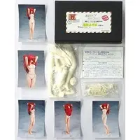 Resin Cast Assembly Kit - Figure - Onegai☆Teacher (Please Teacher!) / Kazami Mizuho