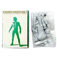 Figure - Kamen Rider Series