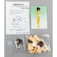 Resin Cast Assembly Kit - Figure - Photo Kano