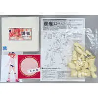 Garage Kit - Resin Cast Assembly Kit - Figure - Senran Kagura / Hibari