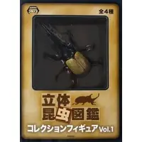 Prize Figure - Figure - Three-dimensional Insect Picture Book / Hercules Beetle