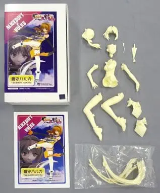 Resin Cast Assembly Kit - Figure - Choukou Sennin Haruka