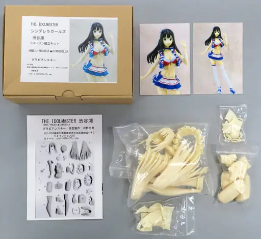 Resin Cast Assembly Kit - Figure - The iDOLM@STER Cinderella Girls / Shibuya Rin