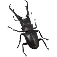 Revoltech - Figure Revogeo / Giraffa Stag Beetle