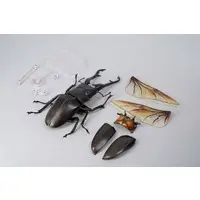 Revoltech - Figure Revogeo / Giraffa Stag Beetle