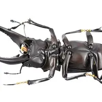 Revoltech - Figure Revogeo / Giraffa Stag Beetle