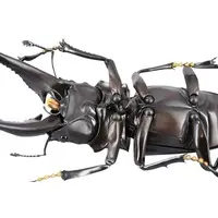 Revoltech - Figure Revogeo / Giraffa Stag Beetle