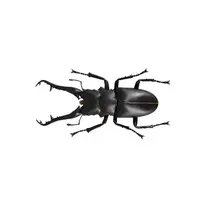 Revoltech - Figure Revogeo / Giraffa Stag Beetle