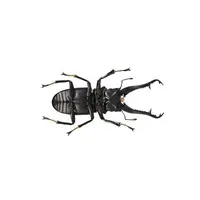 Revoltech - Figure Revogeo / Giraffa Stag Beetle