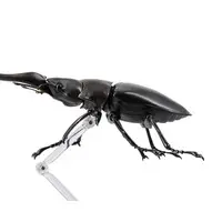 Revoltech - Figure Revogeo / Giraffa Stag Beetle