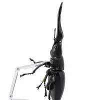 Revoltech - Figure Revogeo / Giraffa Stag Beetle