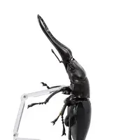 Revoltech - Figure Revogeo / Giraffa Stag Beetle