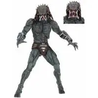 Figure - Predator