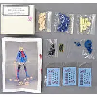 Resin Cast Assembly Kit - Figure - Fate/Grand Order / Mysterious Heroine X