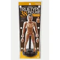 Figure - Hot Toys TrueType