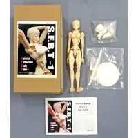 S.F.B.T-1 Drawing Original Articulated Mannequin