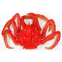 Taraba Crab (Red) Soft BIG