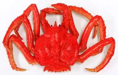 Taraba Crab (Red) Soft BIG