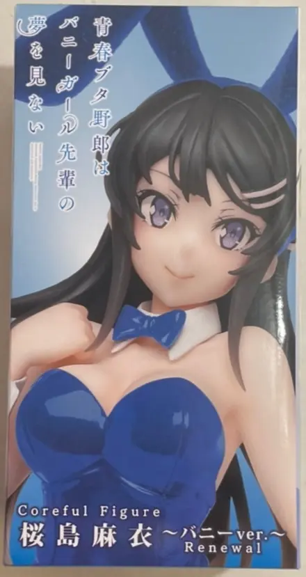 Figure - Prize Figure - Seishun Buta Yarou wa Bunny Girl Senpai no Yume wo Minai (Rascal Does Not Dream of Bunny Girl Senpai) / Sakurajima Mai