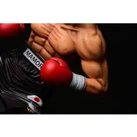 Figure - Hajime no Ippo: Fighting Spirit!