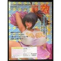 Figure - Taihei Tengyoku Cover Girl / Nishina Saki