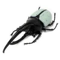 Prize Figure - Figure - Figure Hercules Beetle