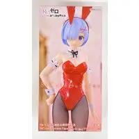 BiCute Bunnies - Re:Zero / Rem