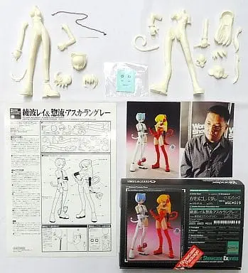 Resin Cast Assembly Kit - Figure - Neon Genesis Evangelion / Asuka Langley & Ayanami Rei