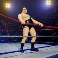 Figure - Ultimate Figure / Andre the Giant