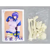 Garage Kit - Figure - Ikkitousen (Battle Vixens) / Ryomou Shimei (Ikkitousen)