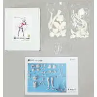 Garage Kit - Figure - Senki Zesshou Symphogear / Yukine Chris