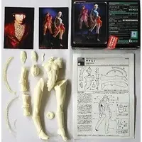 Resin Cast Assembly Kit - Figure - Street Fighter / Cammy White