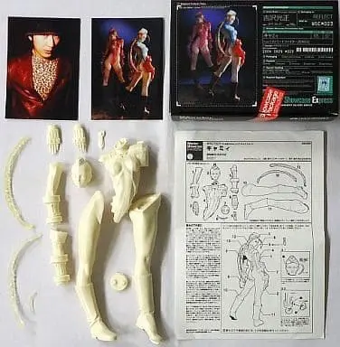 Resin Cast Assembly Kit - Figure - Street Fighter / Cammy White