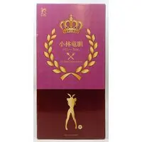 FREEing - Food Wars! Shokugeki no Soma / Kobayashi Rindou