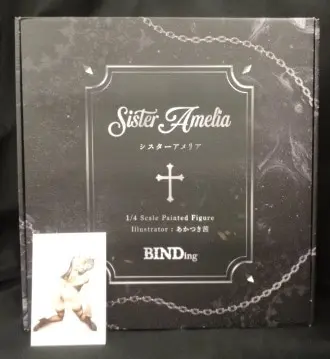 BINDing - Sister Amelia