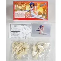 Resin Cast Assembly Kit - Garage Kit - Figure - Welcome to Pia Carrot