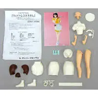 Resin Cast Assembly Kit - Figure - LovePlus / Anegasaki Nene