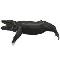 Sofubi Toy Box 013 Whale (Humpback Whale)