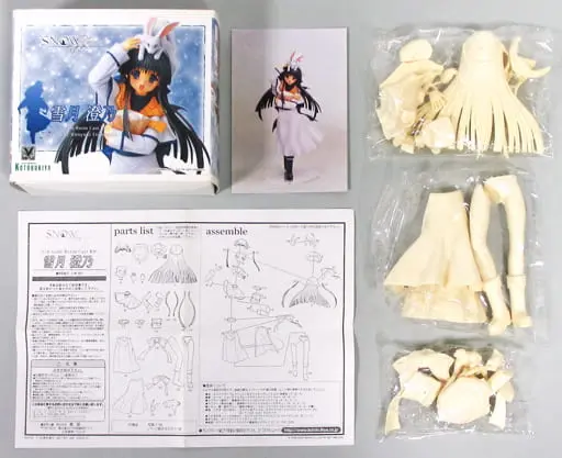 Resin Cast Assembly Kit - Figure - SNOW / Yukizuki Sumino