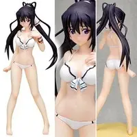Beach Queens - Infinite Stratos / Shinonono Houki