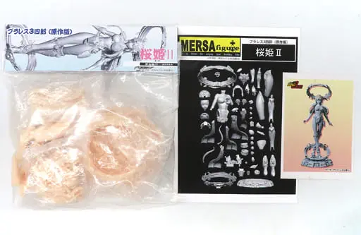Resin Cast Assembly Kit - Figure - Plawres Sanshirou (Plastic Model Wrestling Sanshiro)