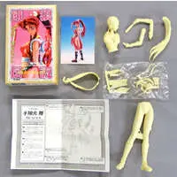 Garage Kit - Resin Cast Assembly Kit - Figure - Garo Densetsu (Fatal Fury) / Shiranui Mai