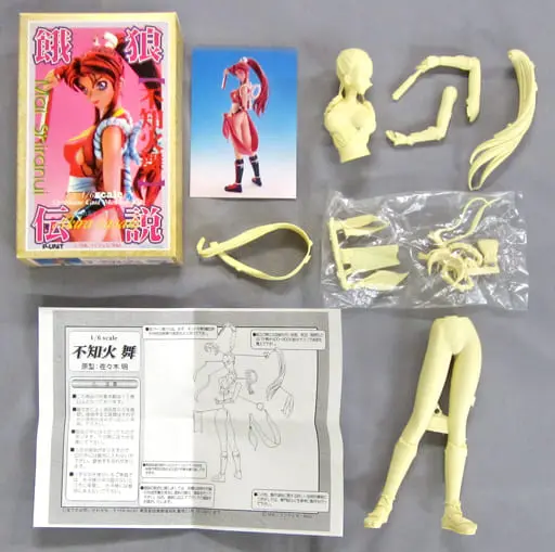 Garage Kit - Resin Cast Assembly Kit - Figure - Garo Densetsu (Fatal Fury) / Shiranui Mai