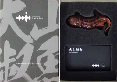 Giant Salamander Kyoto Aquarium Limited Edition