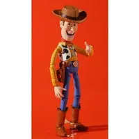 Revoltech - Toy Story