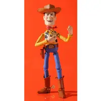 Revoltech - Toy Story