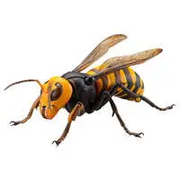 Rebojio Asian Giant Hornet