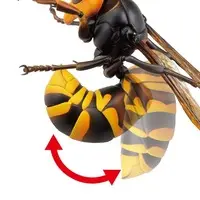 Rebojio Asian Giant Hornet